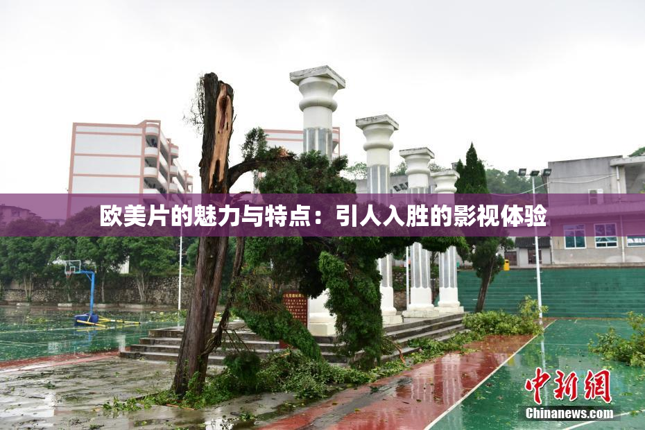 欧美片的魅力与特点：引人入胜的影视体验