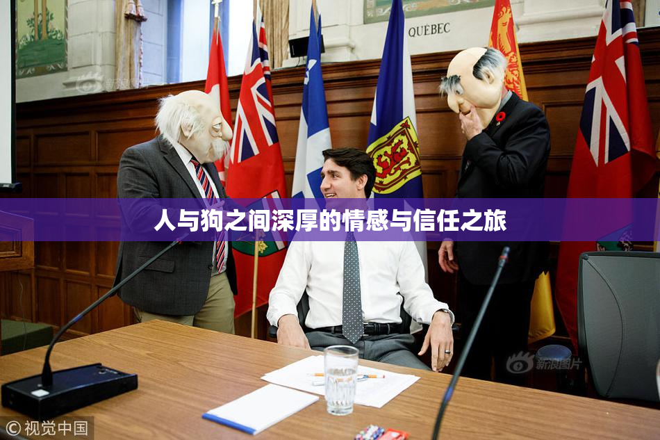 人与狗之间深厚的情感与信任之旅