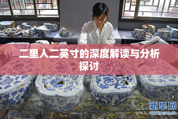 二里人二英寸的深度解读与分析探讨
