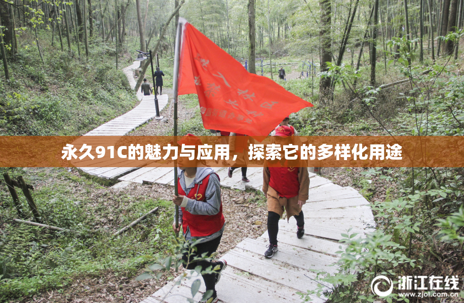 永久91C的魅力与应用，探索它的多样化用途