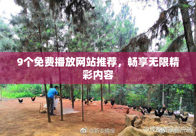 9个免费播放网站推荐，畅享无限精彩内容