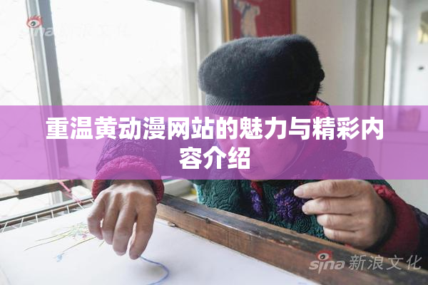 重温黄动漫网站的魅力与精彩内容介绍