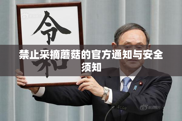 禁止采摘蘑菇的官方通知与安全须知