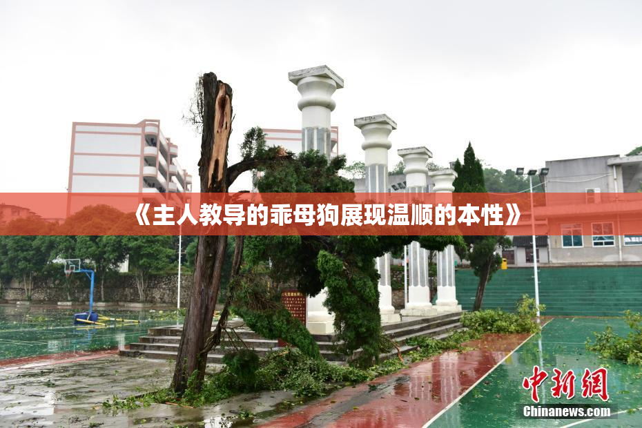 《主人教导的乖母狗展现温顺的本性》