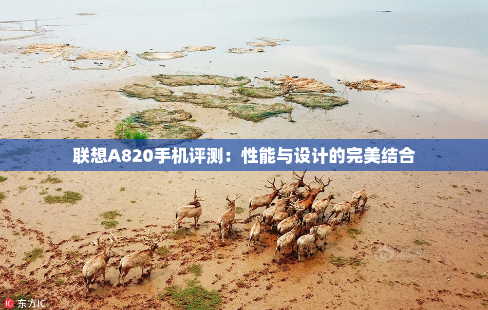 联想A820手机评测：性能与设计的完美结合