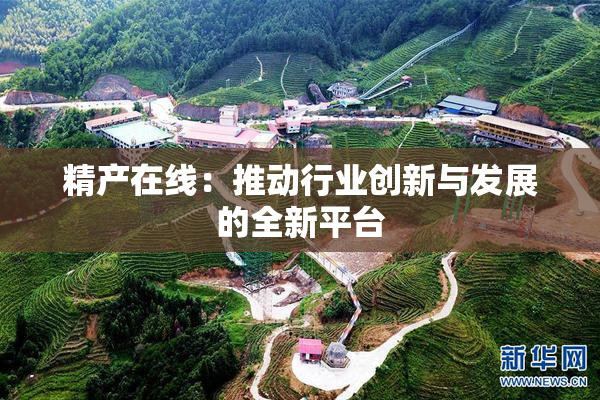 精产在线：推动行业创新与发展的全新平台
