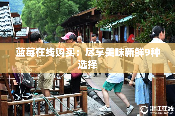 蓝莓在线购买：尽享美味新鲜9种选择