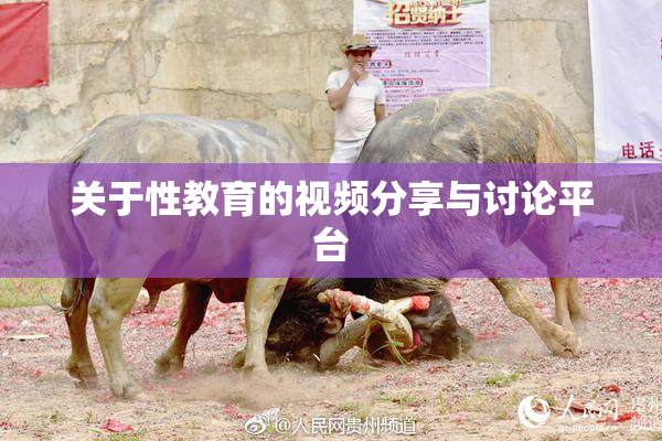 关于性教育的视频分享与讨论平台