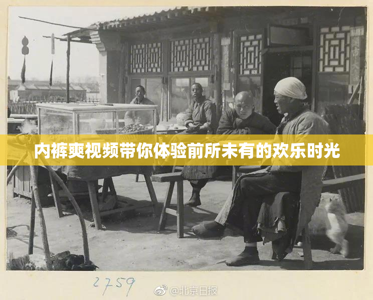 内裤爽视频带你体验前所未有的欢乐时光