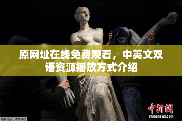 原网址在线免费观看，中英文双语资源播放方式介绍