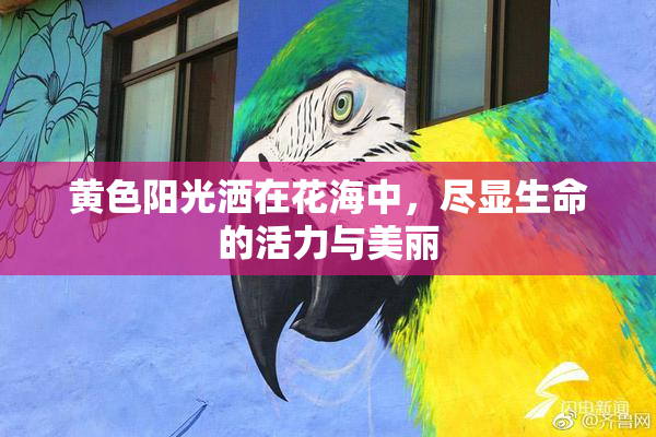 黄色阳光洒在花海中，尽显生命的活力与美丽