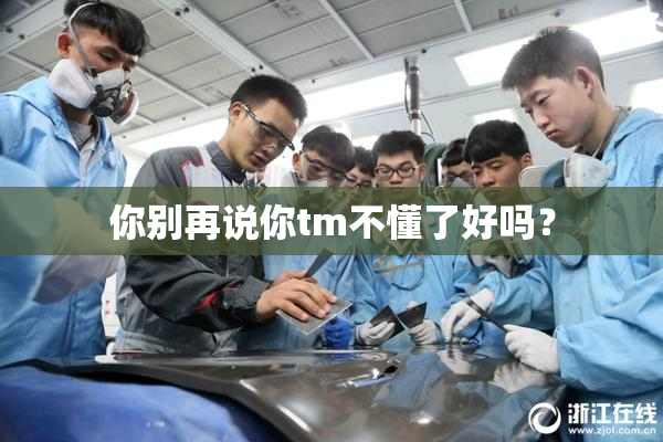 你别再说你tm不懂了好吗？