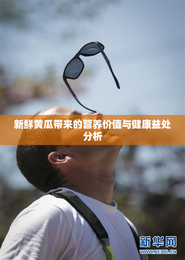 新鲜黄瓜带来的营养价值与健康益处分析