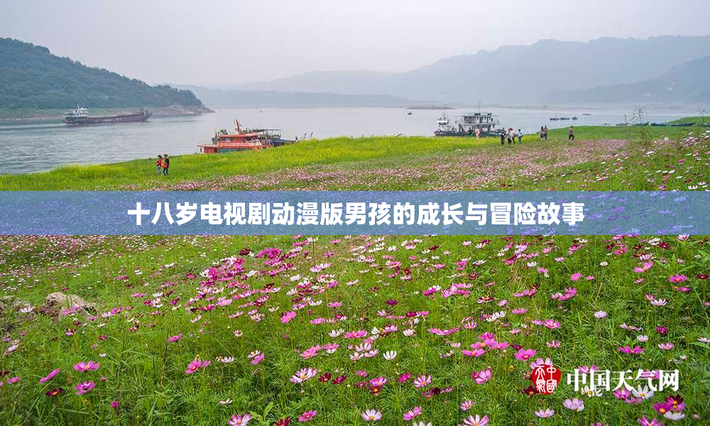 十八岁电视剧动漫版男孩的成长与冒险故事