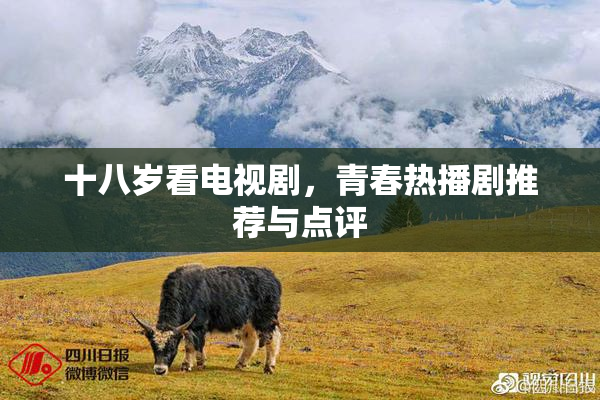 十八岁看电视剧，青春热播剧推荐与点评
