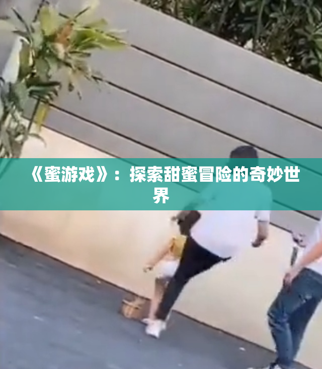 《蜜游戏》：探索甜蜜冒险的奇妙世界