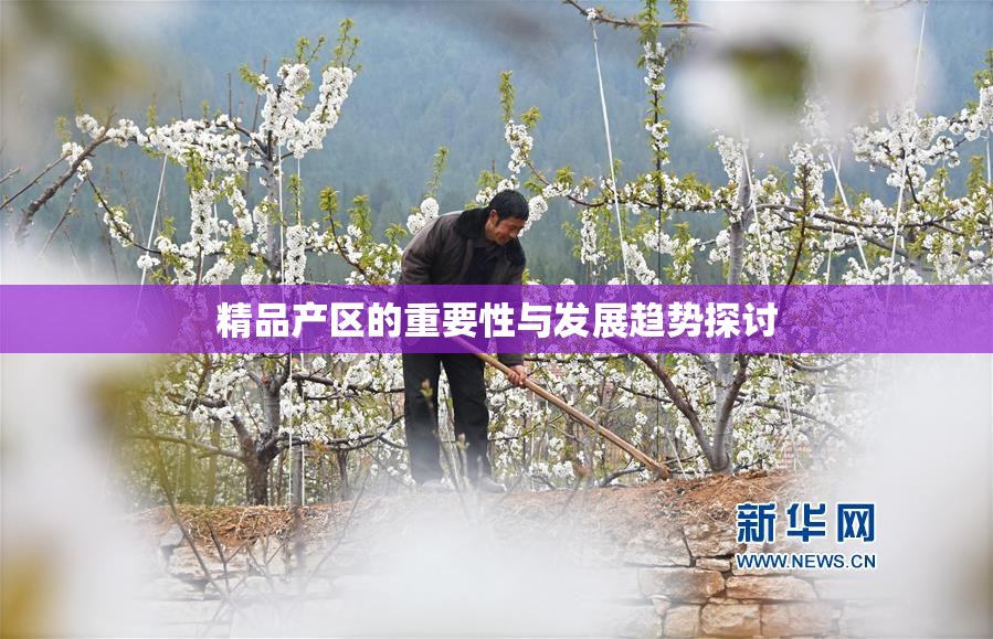 精品产区的重要性与发展趋势探讨