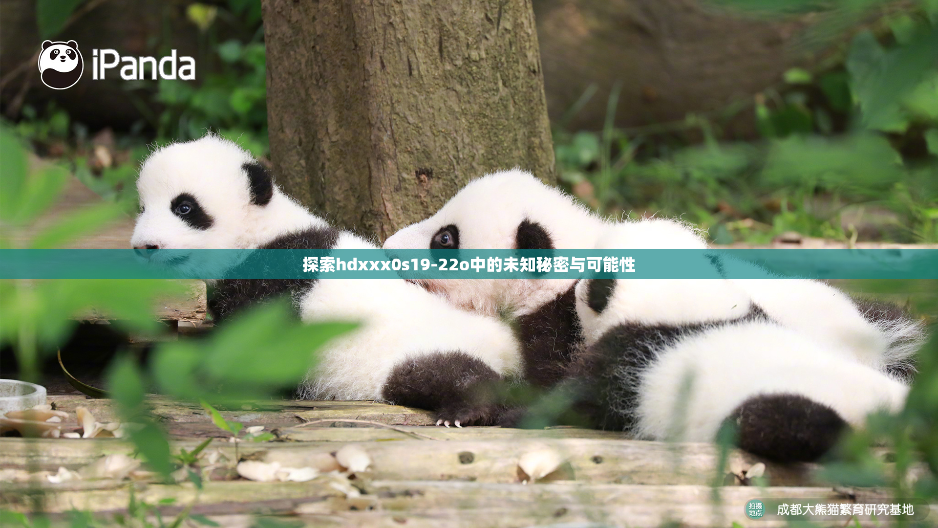 探索hdxxx0s19-22o中的未知秘密与可能性