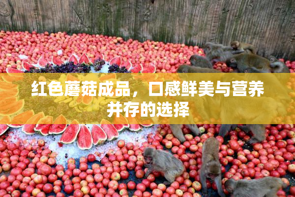 红色蘑菇成品，口感鲜美与营养并存的选择