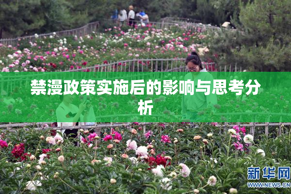 禁漫政策实施后的影响与思考分析