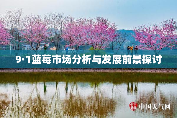 9·1蓝莓市场分析与发展前景探讨