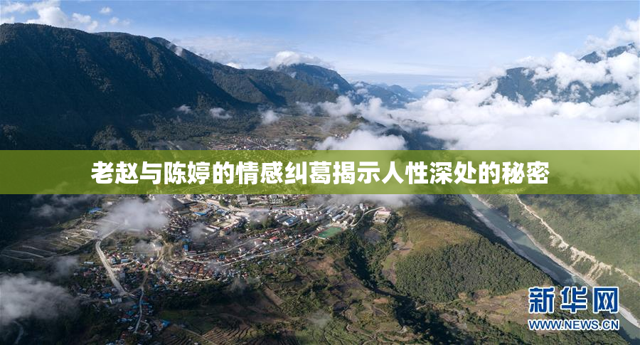 老赵与陈婷的情感纠葛揭示人性深处的秘密