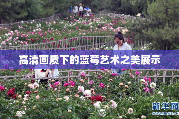 高清画质下的蓝莓艺术之美展示