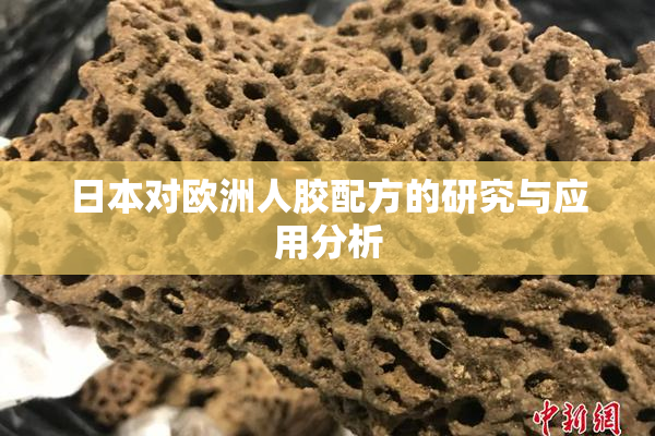 日本对欧洲人胶配方的研究与应用分析
