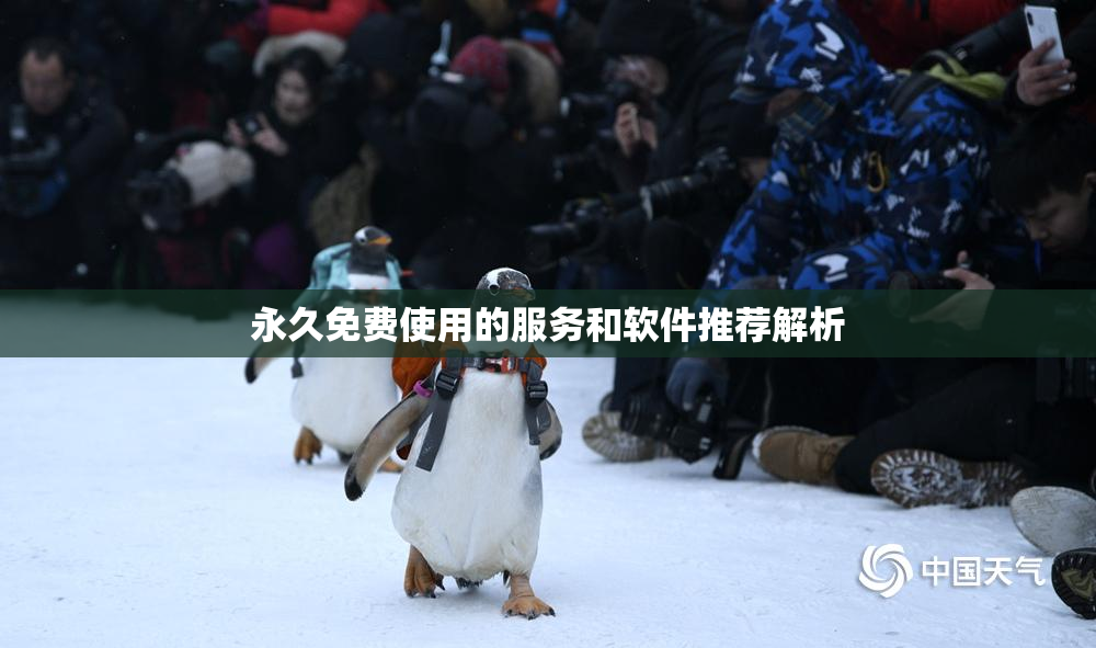 永久免费使用的服务和软件推荐解析