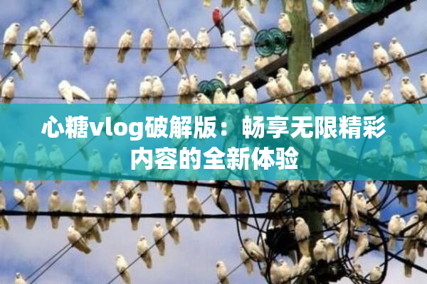 心糖vlog破解版：畅享无限精彩内容的全新体验