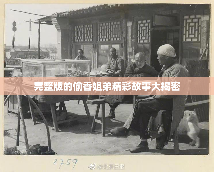 完整版的偷香姐弟精彩故事大揭密