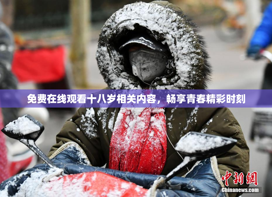 免费在线观看十八岁相关内容，畅享青春精彩时刻