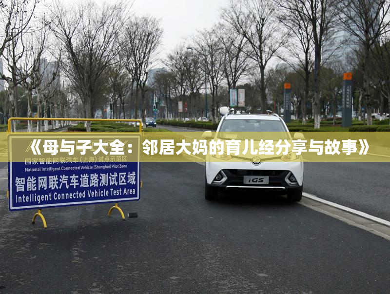 《母与子大全：邻居大妈的育儿经分享与故事》