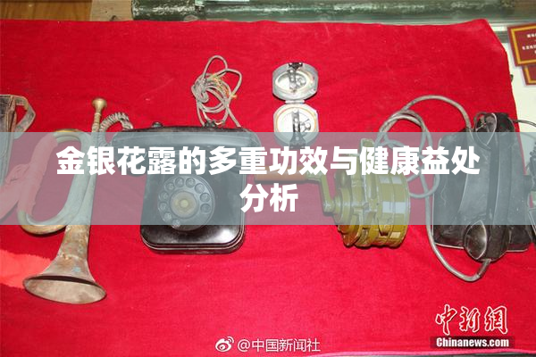 金银花露的多重功效与健康益处分析