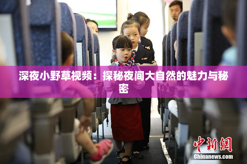 深夜小野草视频：探秘夜间大自然的魅力与秘密