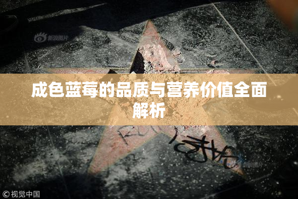 成色蓝莓的品质与营养价值全面解析