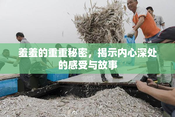 羞羞的重重秘密，揭示内心深处的感受与故事