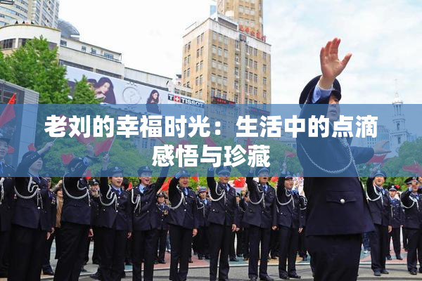 老刘的幸福时光：生活中的点滴感悟与珍藏