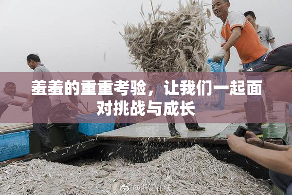 羞羞的重重考验，让我们一起面对挑战与成长
