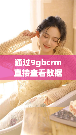 通过9gbcrm直接查看数据的新方法与技巧