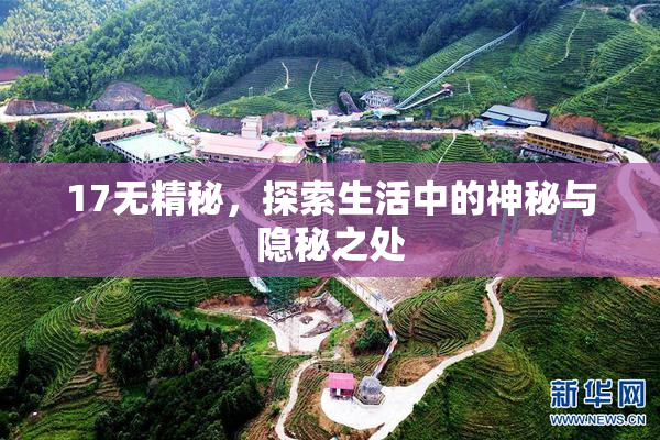 17无精秘，探索生活中的神秘与隐秘之处
