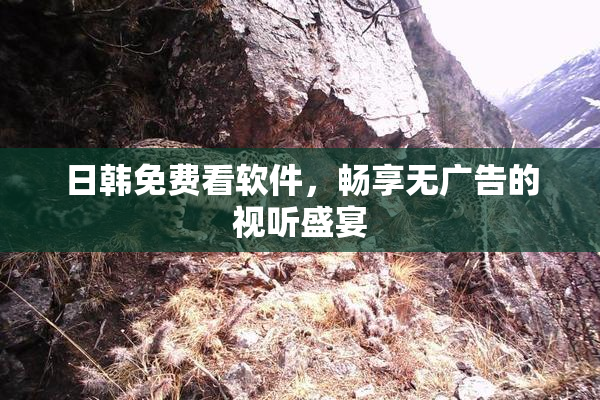 日韩免费看软件，畅享无广告的视听盛宴
