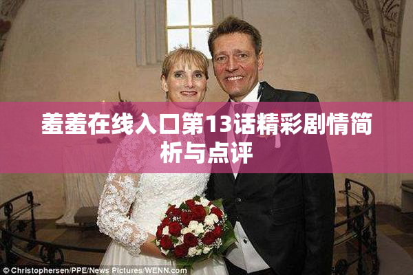 羞羞在线入口第13话精彩剧情简析与点评