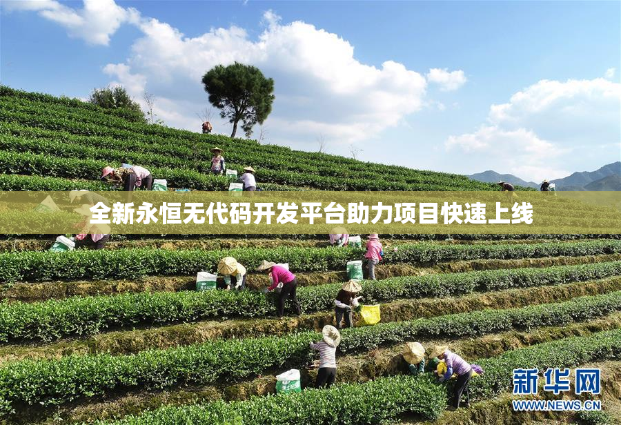 全新永恒无代码开发平台助力项目快速上线