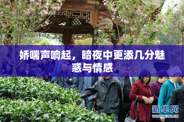 娇喘声响起，暗夜中更添几分魅惑与情感
