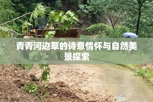 青青河边草的诗意情怀与自然美景探索