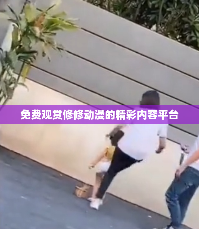 免费观赏修修动漫的精彩内容平台