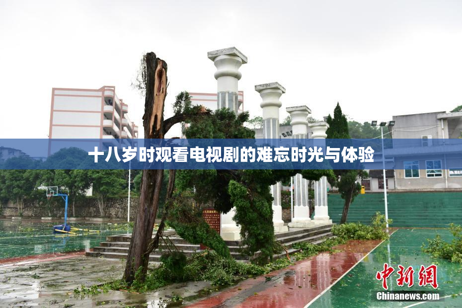 十八岁时观看电视剧的难忘时光与体验