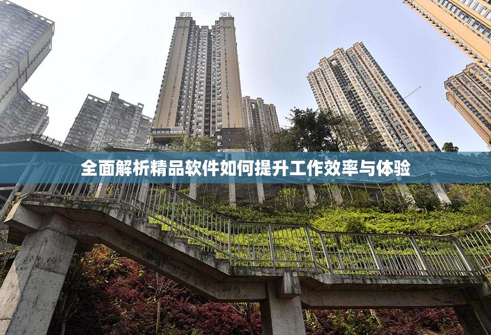 全面解析精品软件如何提升工作效率与体验