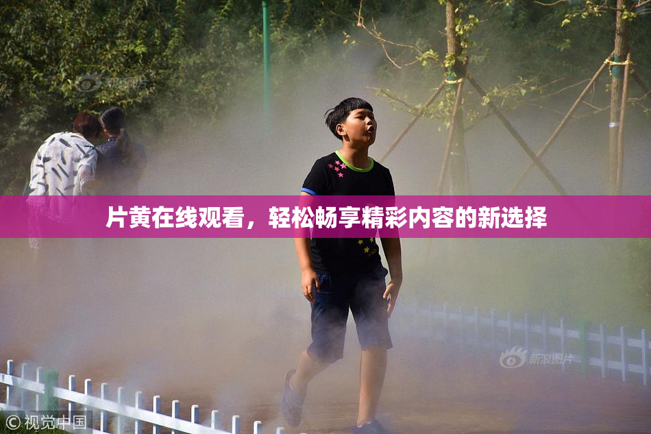 片黄在线观看，轻松畅享精彩内容的新选择